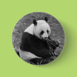 Panda Bear (black & white) Pin