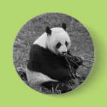 Panda Bear (black & white) Button