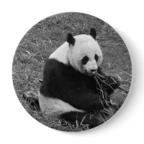 Panda Bear (black & white) buttons by crittercircus Panda Bear (black & white) buttons