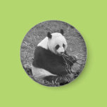 Panda Bear (black & white) Refrigerator Magnet