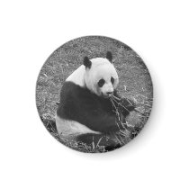 Panda Bear (black & white) magnets by crittercircus Panda Bear (black & white) magnets