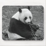 Panda Bear (black & white) Mouse Pads