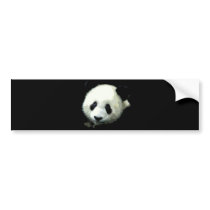 Panda Bear Bumper Sticker