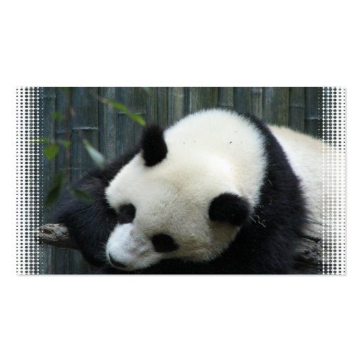 Panda Bear Business Card (back side)