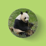 Panda Bear Button