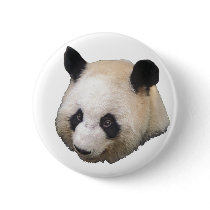 Panda Bear buttons