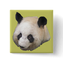 Panda Bear buttons