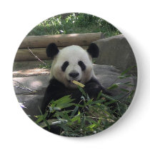 Panda Bear Button by dlgray Panda Bear Button