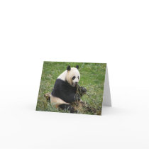 Panda Bear Card