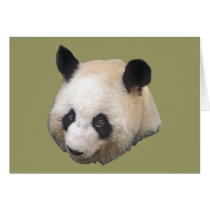 Panda Bear cards