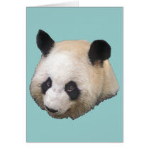 Panda Bear cards