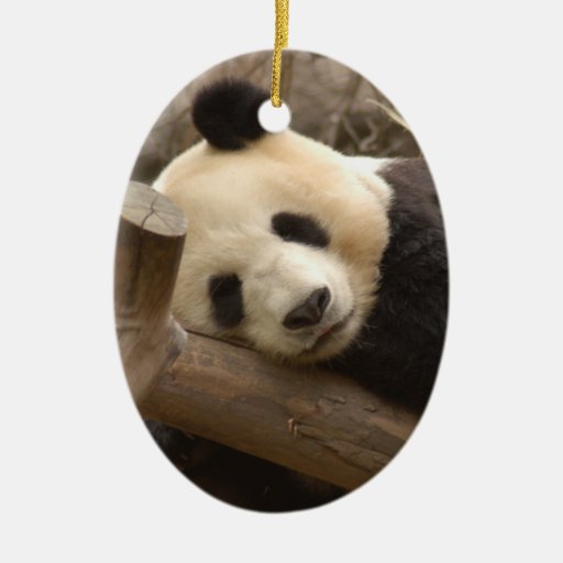 panda bear christmas ornament zazzle panda bear christmas ornament zazzle