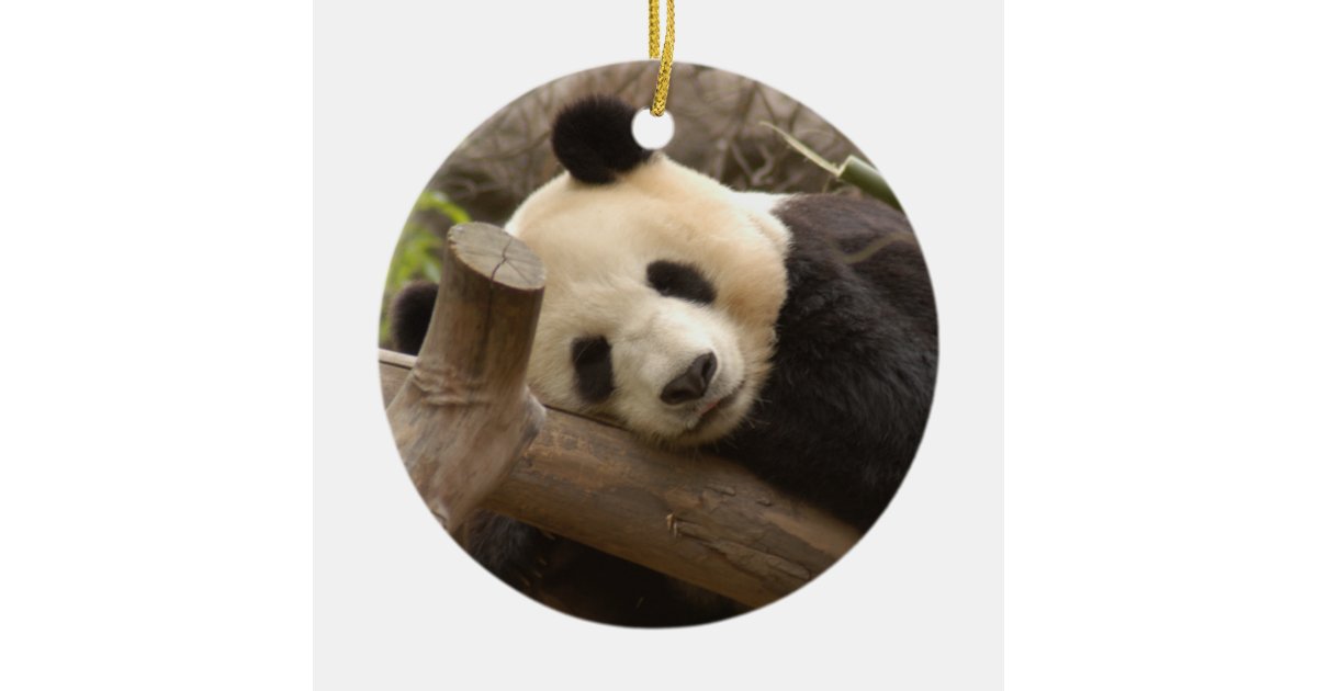 panda bear christmas ornament zazzle panda bear christmas ornament zazzle