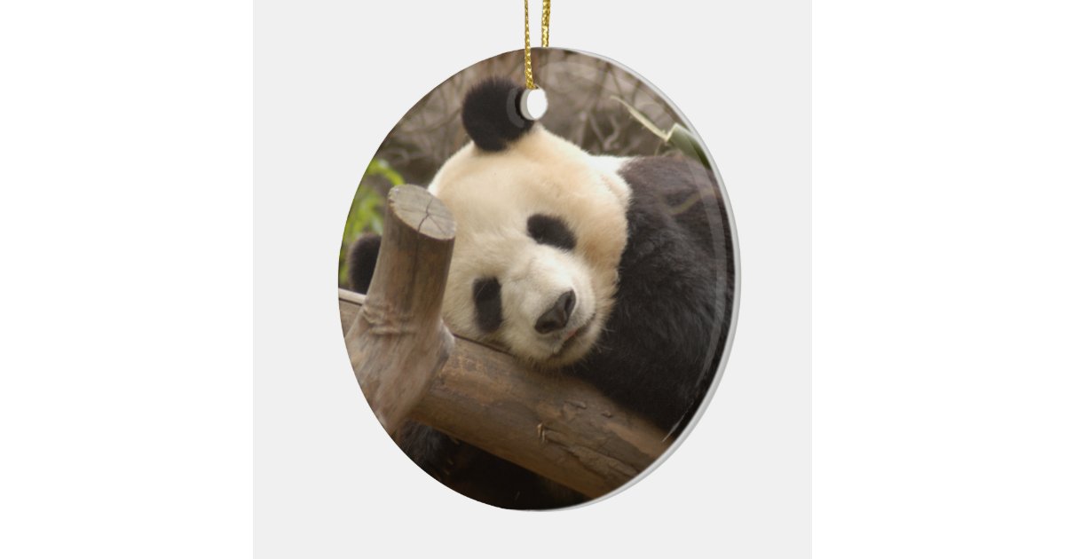panda bear christmas ornament zazzle panda bear christmas ornament zazzle