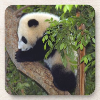 Panda Bear Cork Coaster