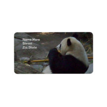 Panda Bear Eating Bamboo Address Label