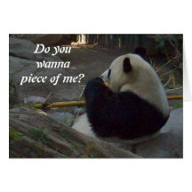Panda Bear Eating Bamboo Greeting Card