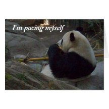 Panda Bear Eating Bamboo Greeting Card