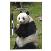 Panda Bear eating some bamboo Dry-Erase Boards