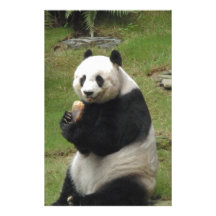 Panda Bear eating some bamboo Personalized Stationery