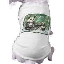 Panda Bear Family in Winter Dog Clothes