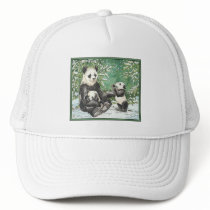 Panda Bear Family in Winter Hat