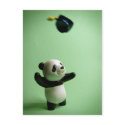 Panda Bear Graduation Cap Throw postcards by beverlytazangel Panda Bear Graduation Cap Throw postcards