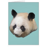 Panda Bear Greeting Cards
