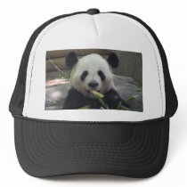 Panda Bear Hat