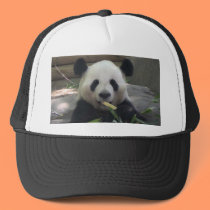 Panda Bear Hat