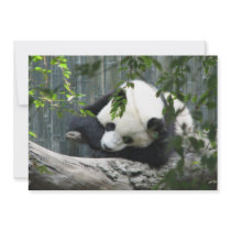 Panda Bear Invitation