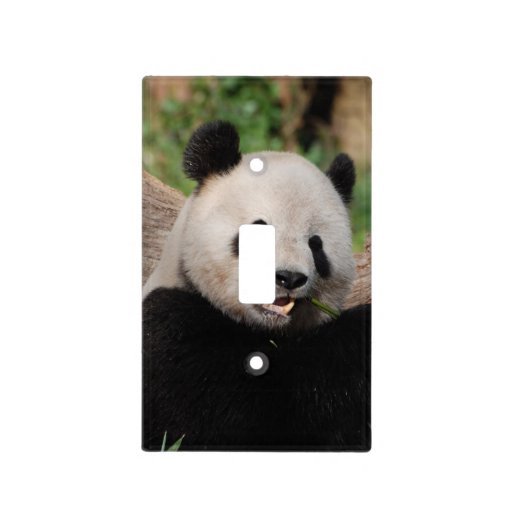 Panda Bear Switch Plate Cover
