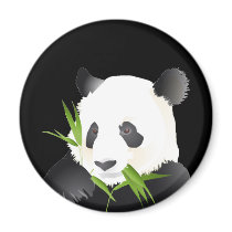 Panda Bear Refrigerator Magnet