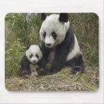 Panda Bear Momma With Cub Mouse Mats