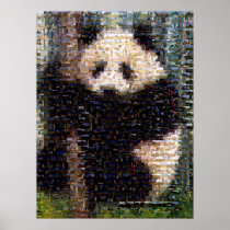 Panda Bear Montage Posters