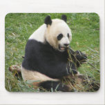 Panda Bear Mouse Mat