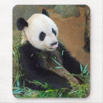 Panda Bear Mousepad