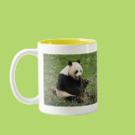 Panda Bear Coffee Mug