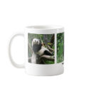 PANDA BEAR mugs