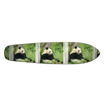 Panda Bear on a Skateboard