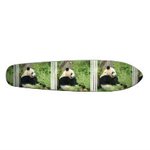 Panda Bear on a Skateboard