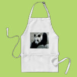 Panda Bear on Rocks Apron