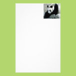 Panda Bear on Rocks Customized Stationery
