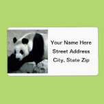 Panda Bear on Rocks Personalized Shipping Labels