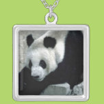 Panda Bear on Rocks Custom Necklace