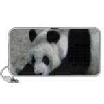 Panda Bear on Rocks Portable Speakers