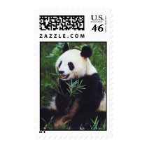 Panda Bear Postage Stamp stamps