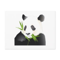 Panda Bear Postcard