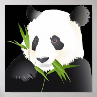 Panda Bear Poster