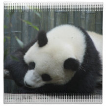 Panda Bear Set of Four Napkins